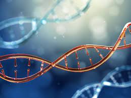 DNA-Forensik-Markt